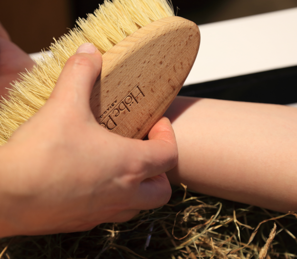 Spazzolatura corpo totale